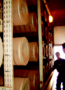 DNR.4001.3VG.10.B英德諾曼internormen雙筒過...