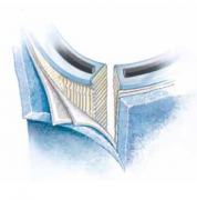 312649英德諾曼internormen回油站過(guò)濾器濾芯01.NL1...