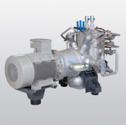 US.161.3VG.10.B英德諾曼internormen油站過(guò)濾器...