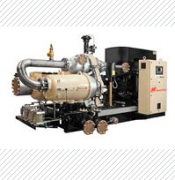 310882英德諾曼循環(huán)油過(guò)濾器替代濾芯01.E2001.10VG